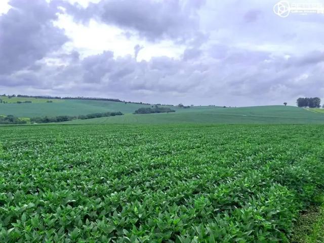 Fazenda venda em Região Imediata de Itapeva, Itaporanga