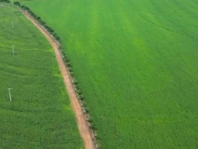 Fazenda venda em Região Imediata de Itapeva, Itaporanga