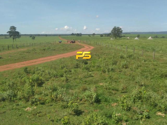 Fazenda venda em Itapuranga, Região Geográfica Intermediária de Goiânia