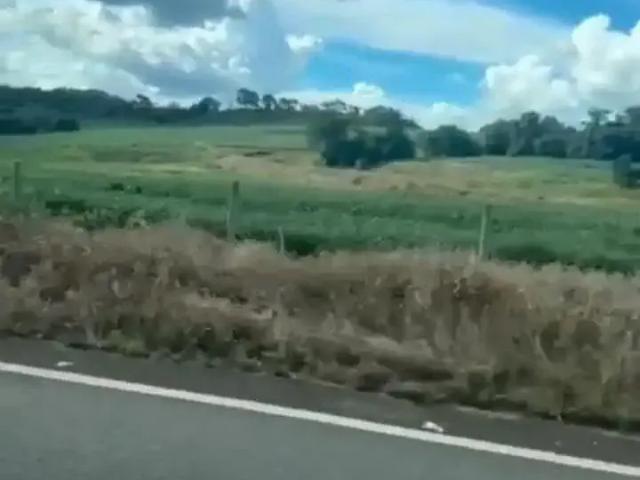 Fazenda venda em Região Geográfica Imediata de Goiás - Itapuranga, Itapuranga
