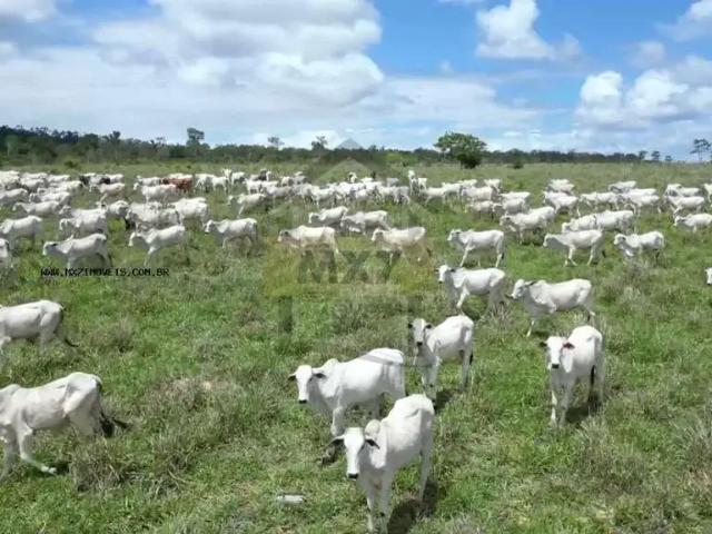 Fazenda venda em Itarantim, Região Nordeste