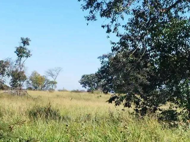 Fazenda venda em Região Geográfica Imediata de Rio Verde, Itarumã