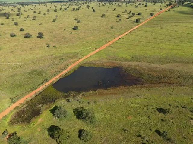 Fazenda venda em Região Geográfica Imediata de Rio Verde, Itarumã
