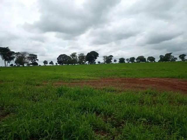 Fazenda venda em Região Geográfica Imediata de Catalão, Davinópolis