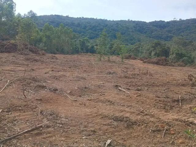 Fazenda venda em Região Geográfica Imediata de Divinópolis, Região Metropolitana de Belo Horizonte