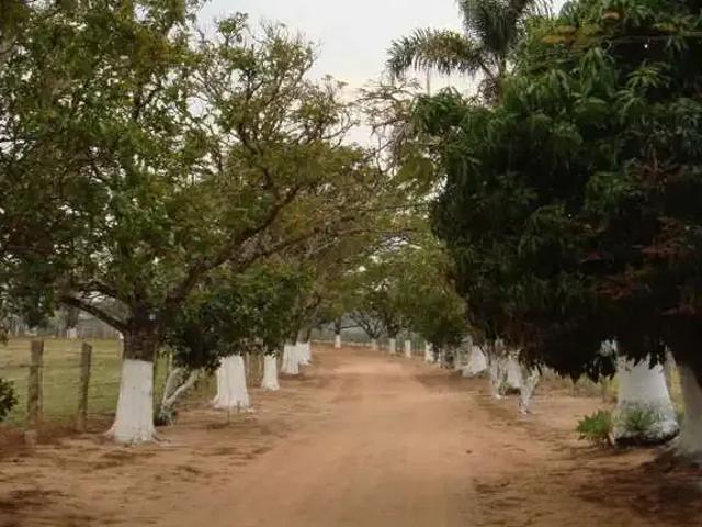 Fazenda venda em Região Imediata de Jundiaí, Região Metropolitana de Campinas