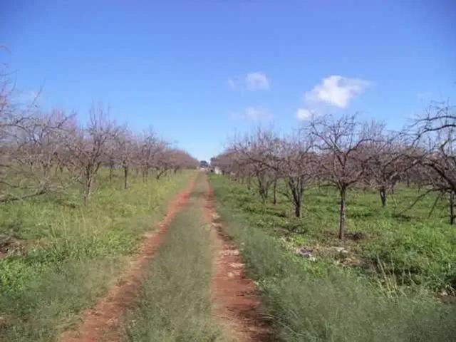 Fazenda venda em Região Imediata de Jundiaí, Região Metropolitana de Campinas