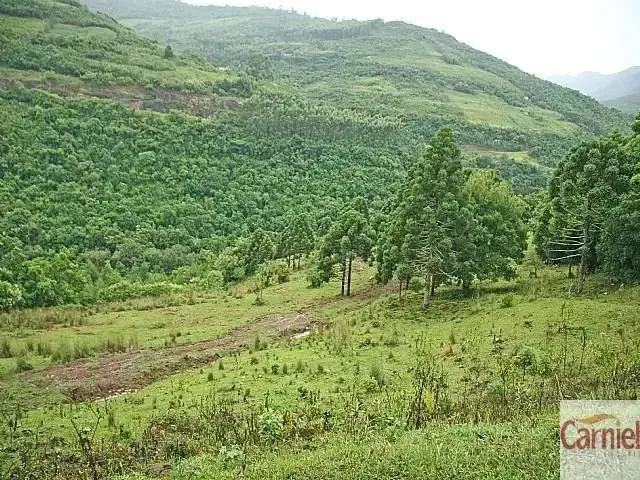 Fazenda venda em Região Geográfica Imediata de Guarabira, Bananeiras