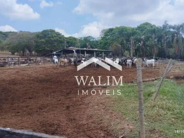 Fazenda venda em Região Geográfica Imediata de Divinópolis, Itaúna