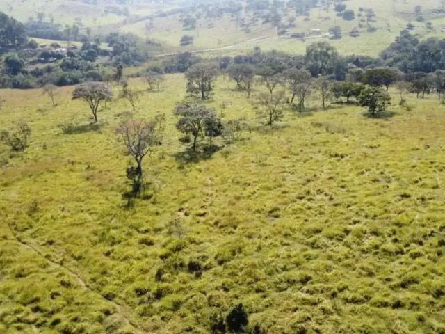Fazenda venda em Região Geográfica Imediata de Divinópolis, Itaúna