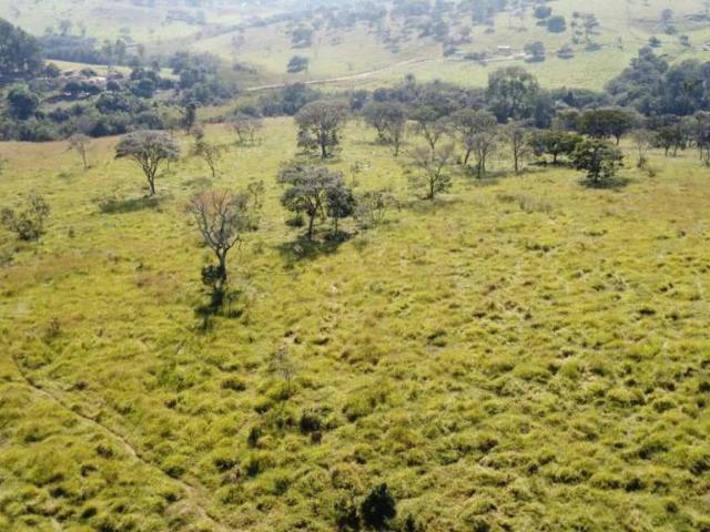 Fazenda venda em Parque Jardim Santanense, Itaúna