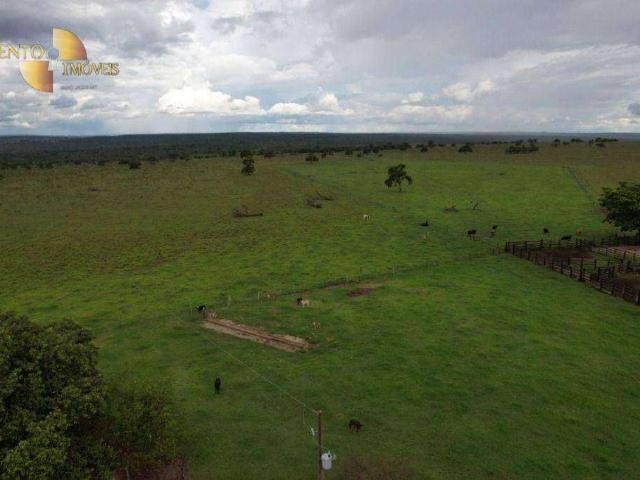 Fazenda venda em Itiquira, Região Geográfica Intermediária de Rondonópolis