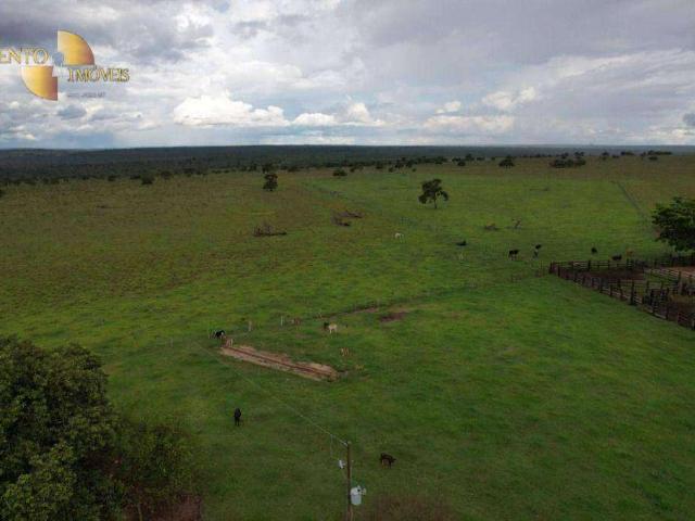 Fazenda venda em Itiquira, Região Geográfica Intermediária de Rondonópolis