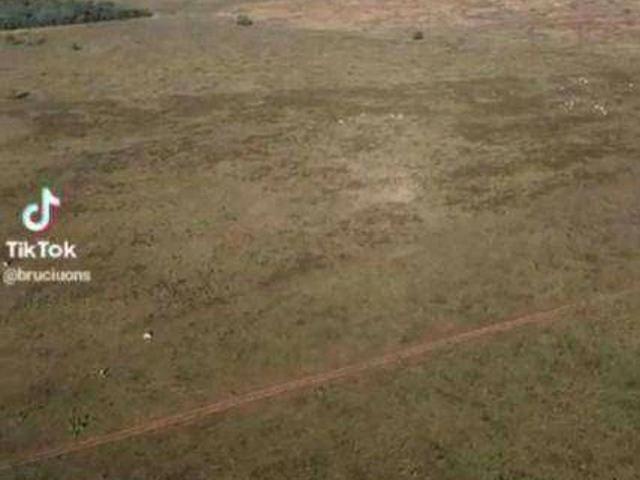 Fazenda venda em Itiquira, Região Geográfica Intermediária de Rondonópolis
