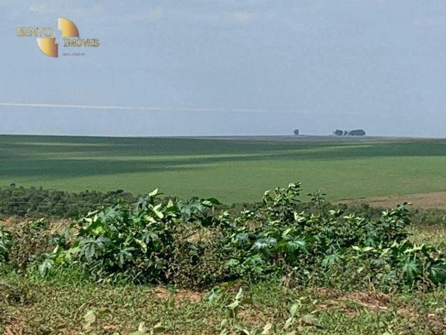 Fazenda venda em Itiquira, Região Geográfica Intermediária de Rondonópolis