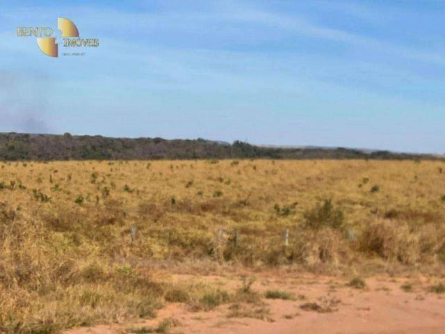 Fazenda venda em Itiquira, Região Geográfica Intermediária de Rondonópolis