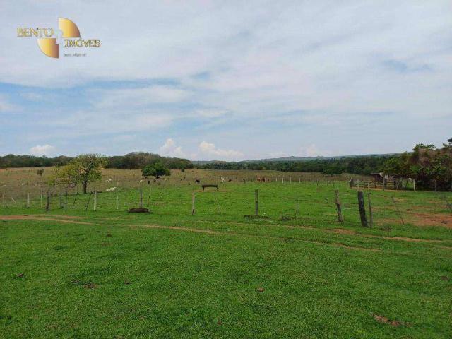 Fazenda venda em Itiquira, Região Geográfica Intermediária de Rondonópolis