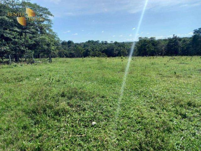 Fazenda venda em Itiquira, Região Geográfica Intermediária de Rondonópolis