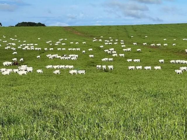 Fazenda venda em Região Geográfica Imediata de Rondonópolis, Itiquira