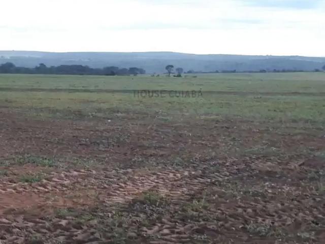 Fazenda venda em Região Geográfica Imediata de Rondonópolis, Itiquira