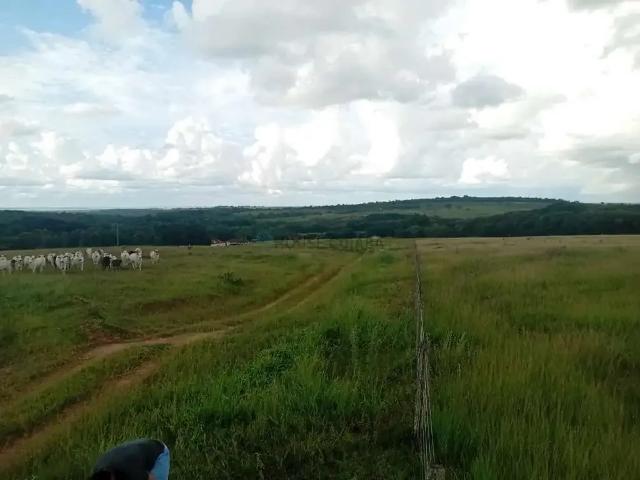 Fazenda venda em Região Geográfica Imediata de Rondonópolis, Itiquira