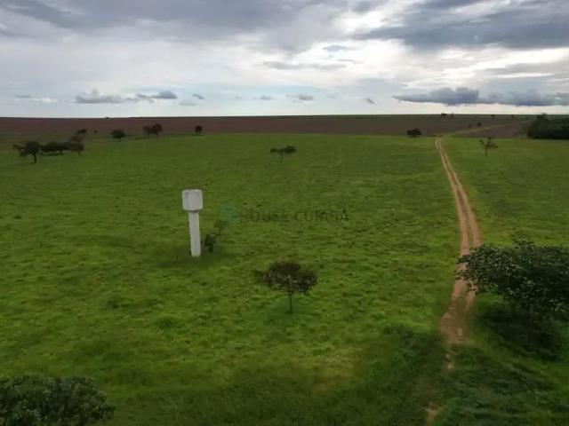 Fazenda venda em Região Geográfica Imediata de Rondonópolis, Itiquira