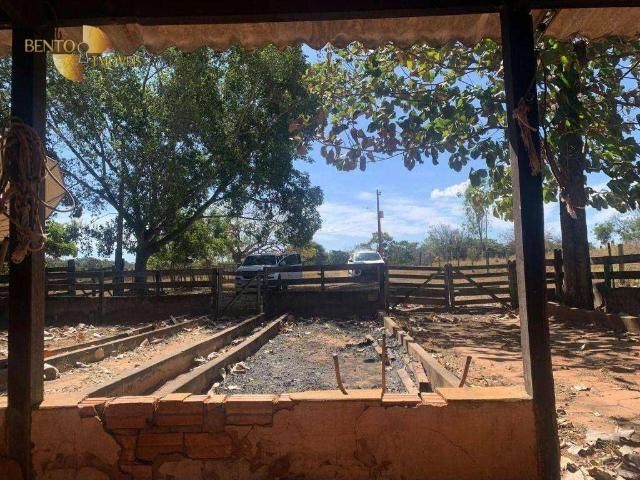 Fazenda venda em Itiquira, Região Geográfica Intermediária de Rondonópolis