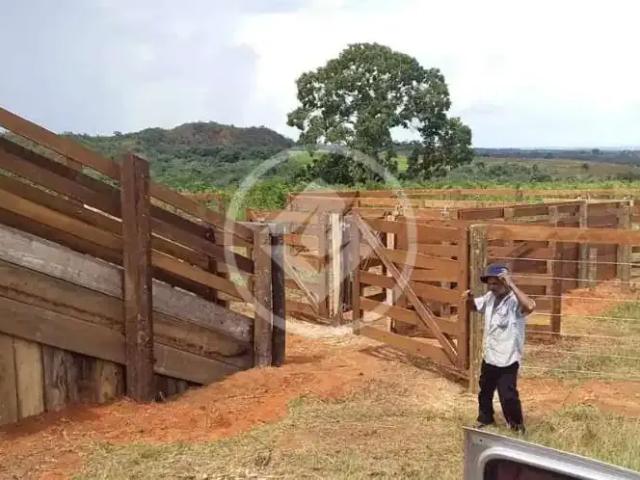 Fazenda venda em Região Geográfica Imediata de Rondonópolis, Itiquira