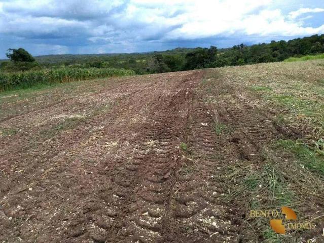 Fazenda venda em Região Geográfica Imediata de Rondonópolis, Itiquira