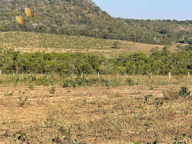 Fazenda venda em Itiquira, Região Geográfica Intermediária de Rondonópolis