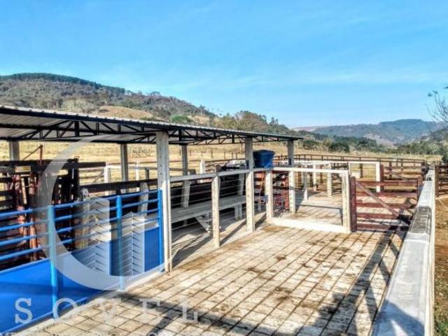 Sítio e chácara venda em Itaqueri da Serra, Itirapina