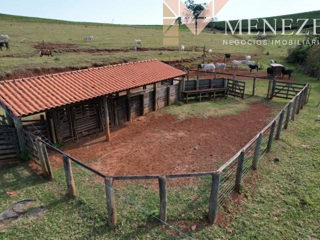 Fazenda venda em Itirapuã, Região Geográfica Intermediária de Ribeirão Preto