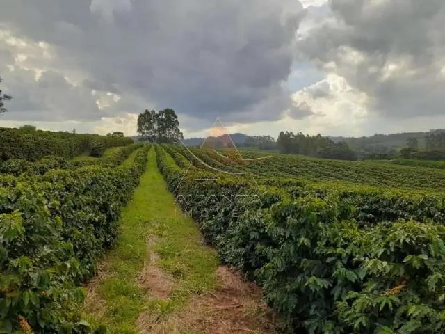 Fazenda venda em Região Imediata de Franca, Itirapuã