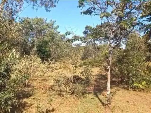Fazenda venda em Região Geográfica Imediata de Ituiutaba, Ituiutaba