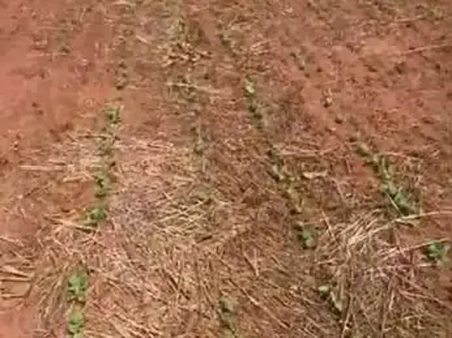 Fazenda venda em Região Geográfica Imediata de Ituiutaba, Ituiutaba