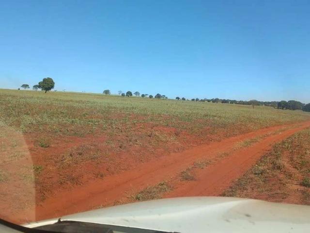 Fazenda venda em Região Geográfica Imediata de Ituiutaba, Ituiutaba