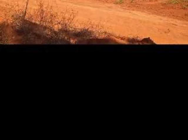 Fazenda venda em Região Geográfica Imediata de Ituiutaba, Ituiutaba