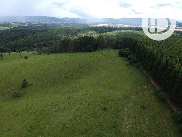 Fazenda venda em Região Imediata de Itapeva, Itapeva