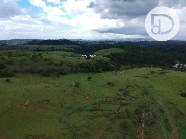 Fazenda venda em Região Imediata de Itapeva, Itapeva