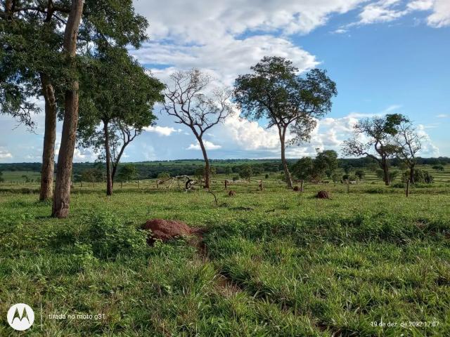 Fazenda venda em Região Geográfica Imediata de Iturama, Iturama