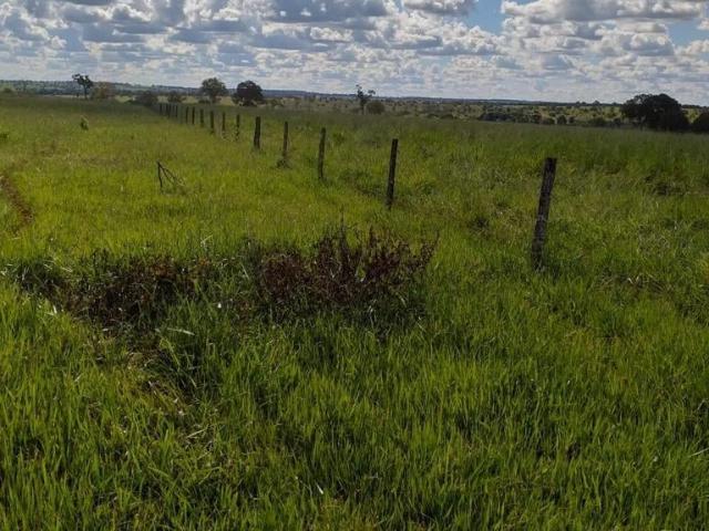 Fazenda venda em Iturama, Região Geográfica Intermediária de Uberaba