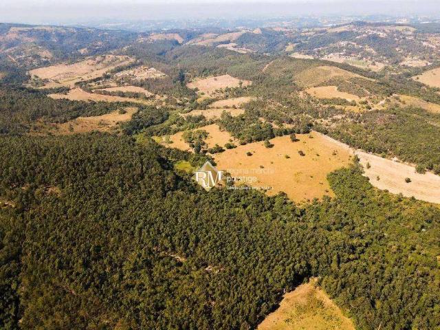 Fazenda venda em Região Imediata de Sorocaba, Região Metropolitana de Sorocaba