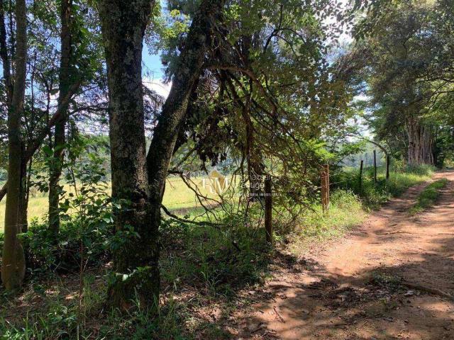 Fazenda venda em Ubatuba
