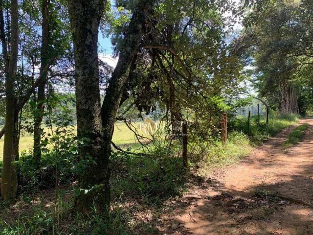 Fazenda venda em Região Imediata de Caraguatatuba-Ubatuba-São Sebastião, Região Metropolitana do Vale do Paraíba e Litoral Norte