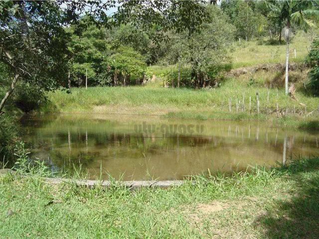 Fazenda venda em Região Imediata de Barretos, Região Metropolitana de Ribeirão Preto