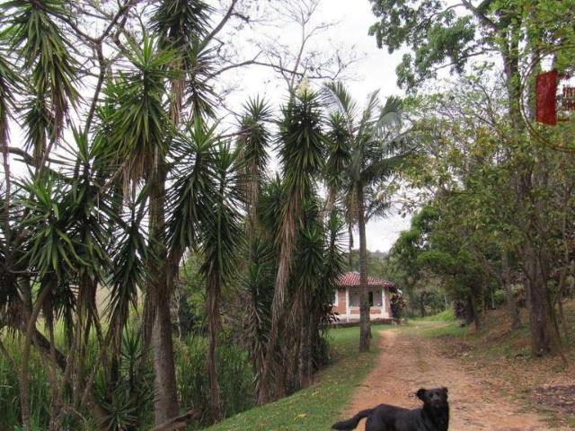 Fazenda venda em Região Imediata de São José do Rio Preto, Região Metropolitana de São José do Rio Preto