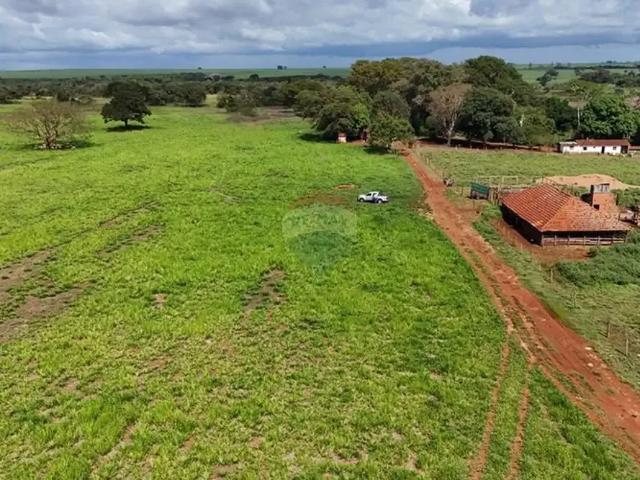 Fazenda venda em Região Imediata de Ituverava, Ituverava