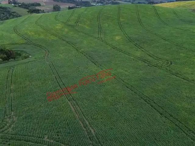 Fazenda venda em Região Geográfica Imediata de Ponta Grossa, Ivaí