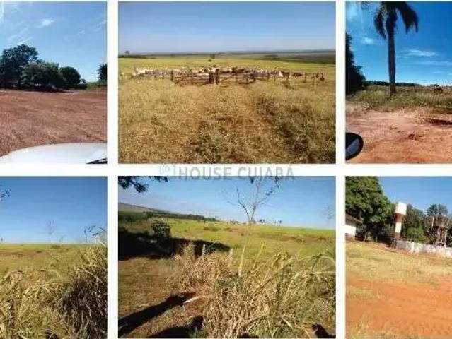 Fazenda venda em Região Geográfica Imediata de Umuarama, Região Metropolitana de Umuarama