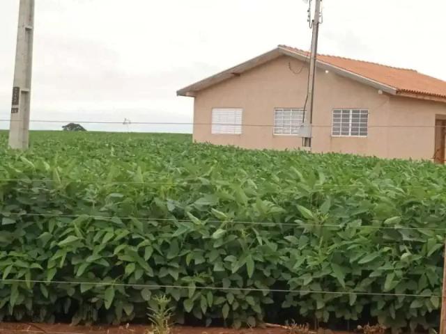 Fazenda venda em Região Geográfica Imediata de Umuarama, Região Metropolitana de Umuarama